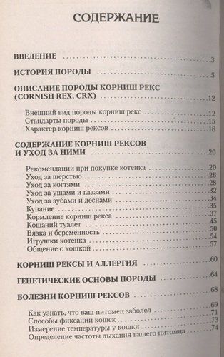 Корниш рекс. Кошка в овечьей шкуре | Катаева, купить недорого