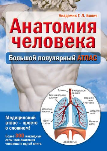 Анатомия человека: большой популярный атлас | Габриэль Билич