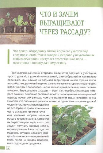 Крепкая рассада. Богатый урожай своими руками | Елена Имбирева, sotib olish