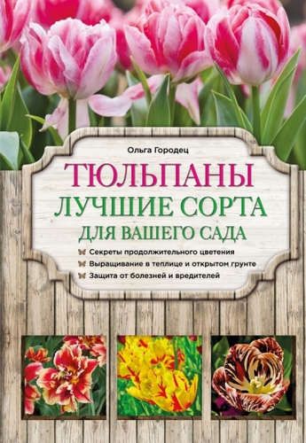 Тюльпаны: лучшие сорта для вашего сада | Ольга Городец