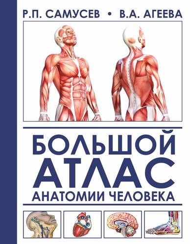 Большой атлас анатомии человека. 2-е издание, исправленное и дополненное | Рудольф Самусев, Валентина Агеева