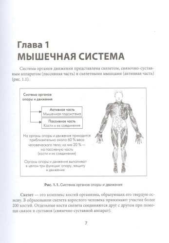 МИОФАСЦИАЛЬНЫЙ РЕЛИЗ. Эффективные методики растяжения мышц и фасций для предупреждения травм и избавления от хронических болей | Виталий Епифанов, Александр Епифанов, O'zbekistonda