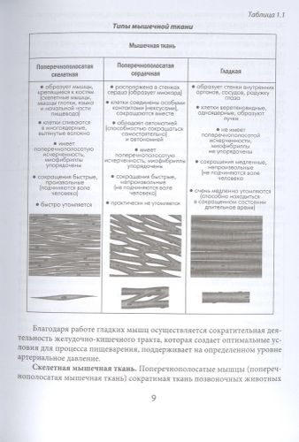 МИОФАСЦИАЛЬНЫЙ РЕЛИЗ. Эффективные методики растяжения мышц и фасций для предупреждения травм и избавления от хронических болей | Виталий Епифанов, Александр Епифанов, в Узбекистане