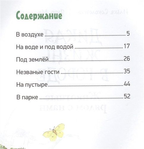 Дикая жизнь в городе. Животные рядом с нами | Соколовски Илька, Штайманн Я., купить недорого