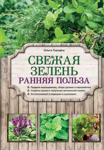 Свежая зелень: ранняя польза | Городец Ольга Владимировна