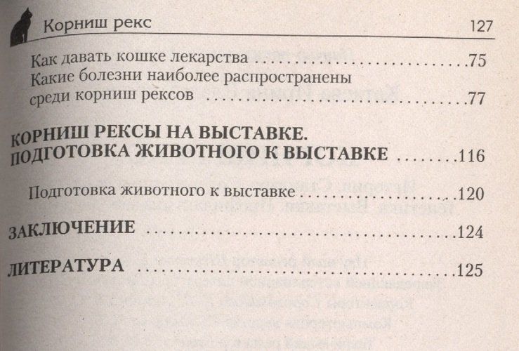 Корниш рекс. Кошка в овечьей шкуре | Катаева, в Узбекистане