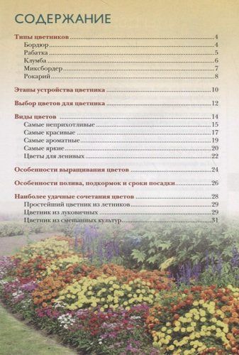 Как создать цветник без хлопот: бордюр, рабатка, клумба, миксбордер, рокарий | Хромов Николай Владимирович, купить недорого