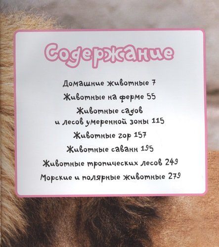 Моя первая энциклопедия животных | Коэ Н., купить недорого