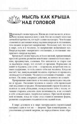 Книга прощения. В согласии с собой. Прощение подлинное и мнимое | Лууле Виилма, фото № 13