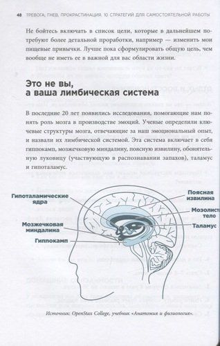 Тревога, гнев, прокрастинация. 10 стратегий для самостоятельной работы | Сет Дж. Гиллихан, фото № 4