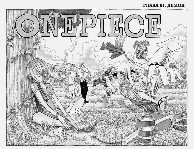 Ода Э.: One Piece. Большой куш. Книга 3, фото № 4