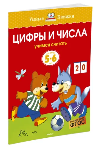 Цифры и числа (5-6 лет) | Земцова Ольга