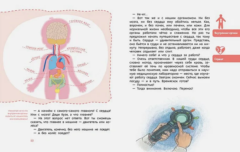 Как устроен человек. Энциклопедии с Чевостиком | Качур Елена Александровна, sotib olish