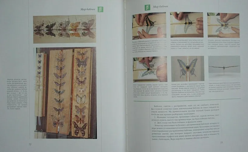 Бабочки мира, sotib olish