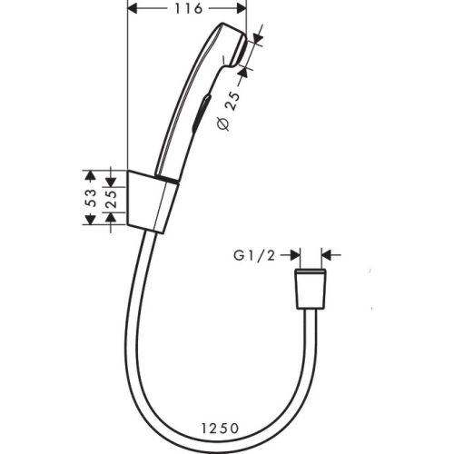 Gigienik dush hansgrohe 32129000, купить недорого