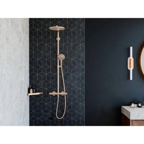 Dush tizimi termostat bilan hansgrohe Raindance Select S Showerpipe 240 1jet PowderRain 27633140, фото