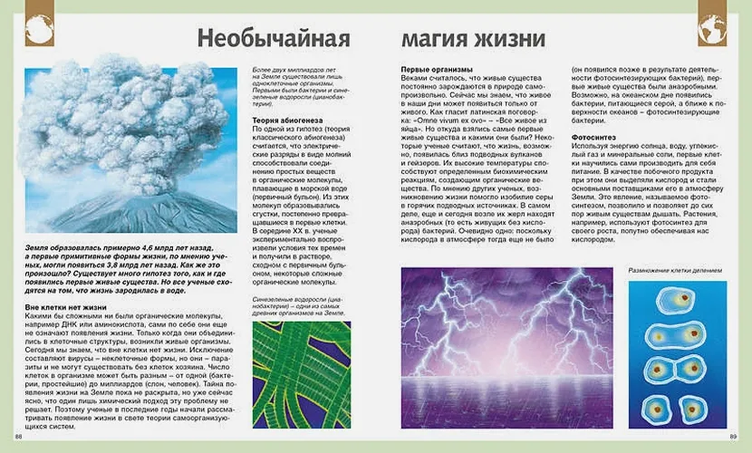 Универсальная школьная энциклопедия | Земцова Т., Красновская О., Семенова М., Цыпилева Е., Шадрина И., фото