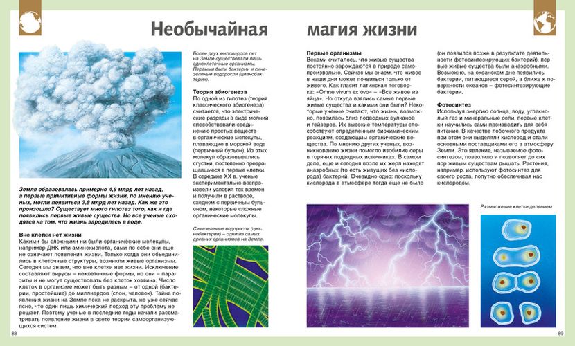 Универсальная школьная энциклопедия | Земцова Т., Красновская О., Семенова М., Цыпилева Е., Шадрина И., фото № 9