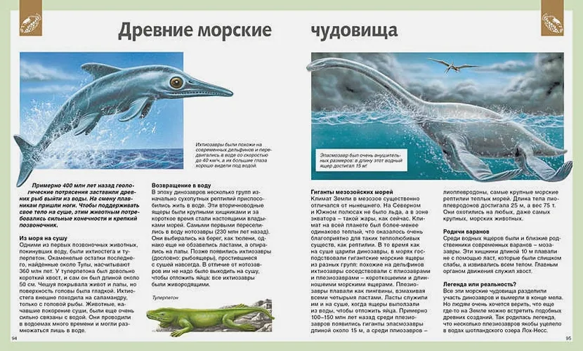 Универсальная школьная энциклопедия | Земцова Т., Красновская О., Семенова М., Цыпилева Е., Шадрина И., arzon