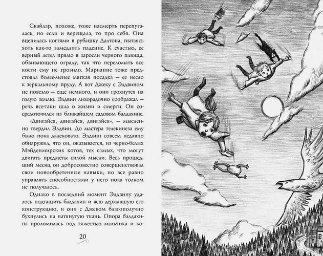 Фамильяры. Книга 2. Загадки Короны | Эпштейн А., Джейкобсон Э., купить недорого