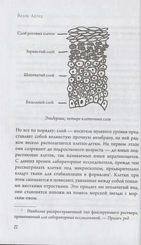 Что скрывает кожа. 2 квадратных метра, которые диктуют, как нам жить (БомбораТОП) | Йаэль Адлер, arzon