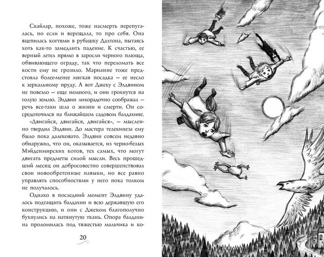 Фамильяры. Книга 2. Загадки Короны | Эпштейн А., Джейкобсон Э., O'zbekistonda