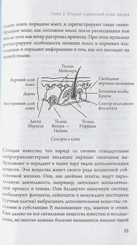 Что скрывает кожа. 2 квадратных метра, которые диктуют, как нам жить (БомбораТОП) | Йаэль Адлер, фото № 9