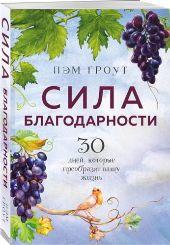 Сила благодарности. 30 дней, которые преобразят вашу жизнь | Пэм Гроут, arzon