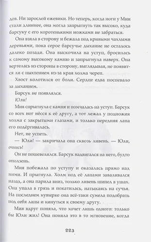 Страшные истории для маленьких лисят | Кристиан Маккей Хайдикер, фото № 4