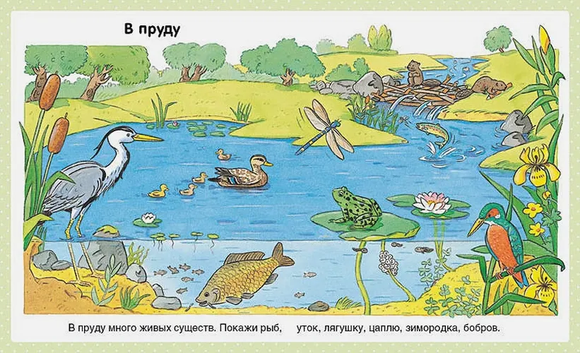 Природа (до 3-х лет) | Бомон Э., фото