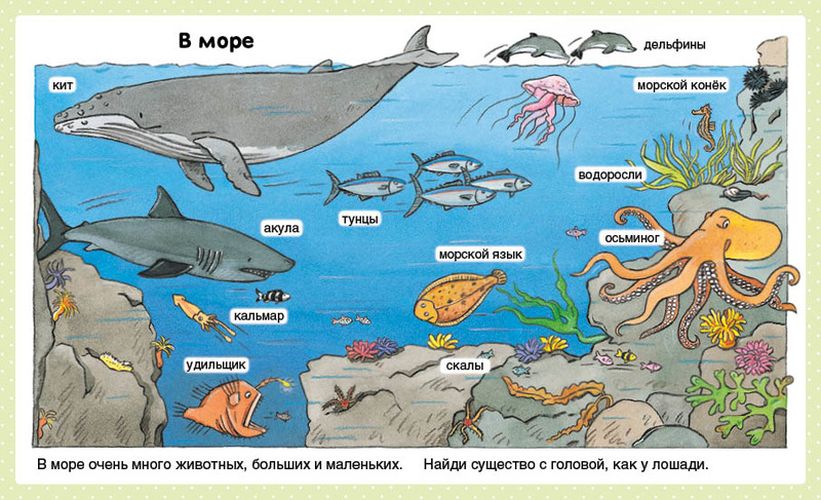 Природа (до 3-х лет) | Бомон Э., arzon