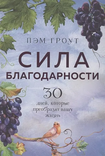 Сила благодарности. 30 дней, которые преобразят вашу жизнь | Пэм Гроут