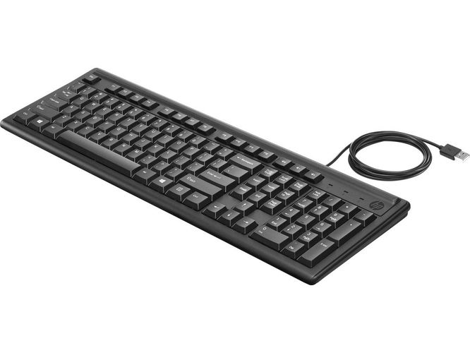 Проводоная клавиатура HP Keyboard 100, купить недорого