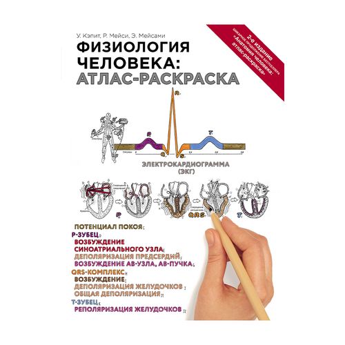 Физиология человека: атлас-раскраска | Кэпит Уинн, Мейси Роберт, Мейсами Эсмаил