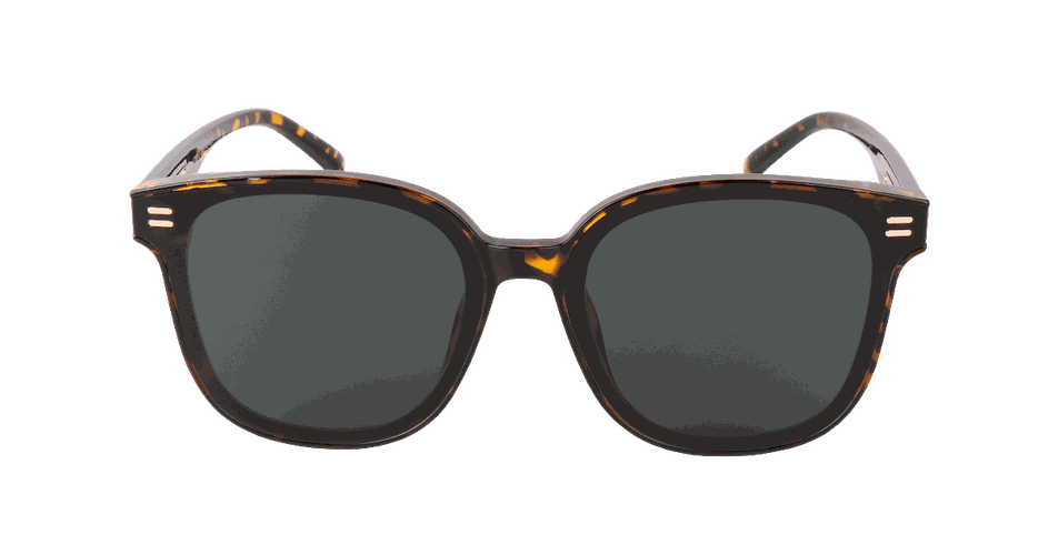 Солнцезащитные очки Fabricio 1710, купить недорого