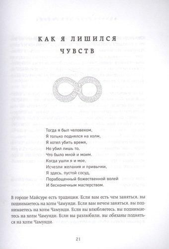 Внутренняя инженерия. Путь радости. Практическое руководство от йога | Садхгуру, foto