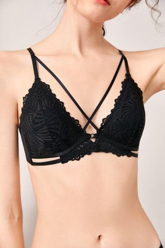 Комплект нижнего белья Walhala Lingerie TY014KB, Черный, купить недорого