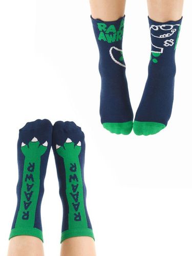 Комплект носков 2 пары "Дино" Denokids CFF-22S1-125, Синий-Зеленый