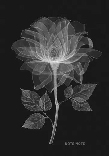 Тетрадь Flower 64л, Черный