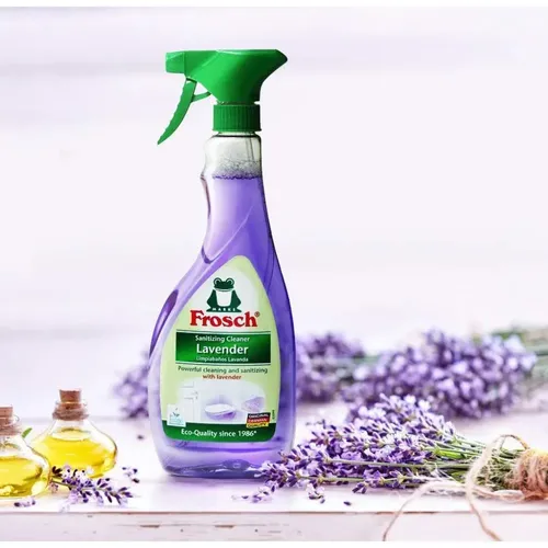 Hammom va dush uchun tozalovchi Frosch Lavender, купить недорого