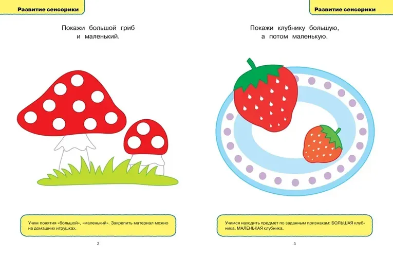 Развивающие тесты (1-2 года) | Земцова Ольга, купить недорого