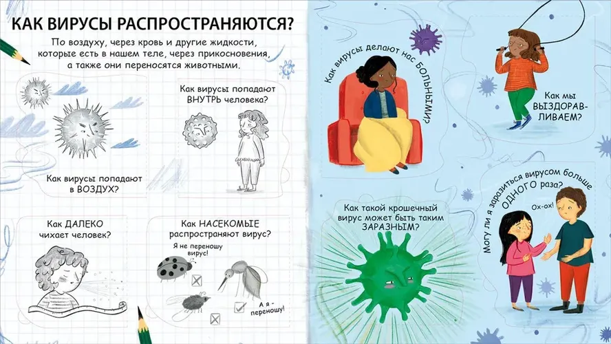 Книга 40 окошек. Что делать, чтобы быть здоровым, развивающая книжка | Коллектив авторов, в Узбекистане