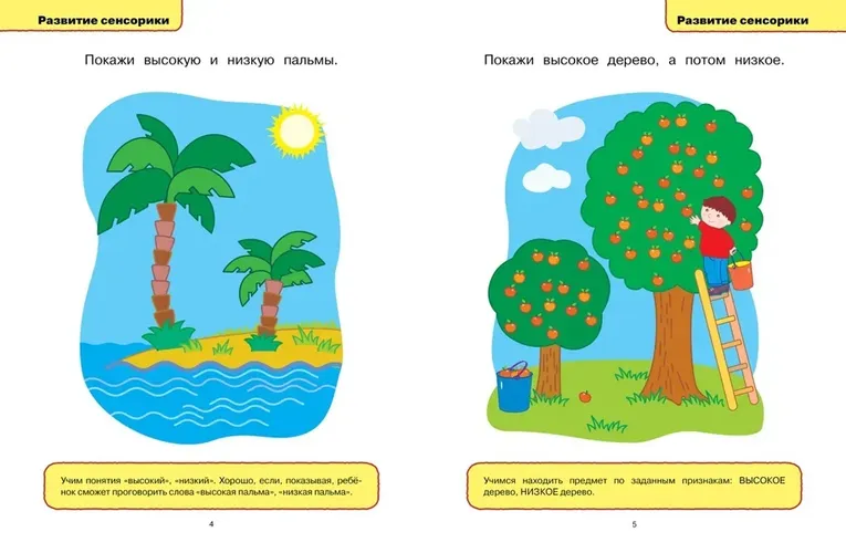 Развивающие тесты (1-2 года) | Земцова Ольга, в Узбекистане