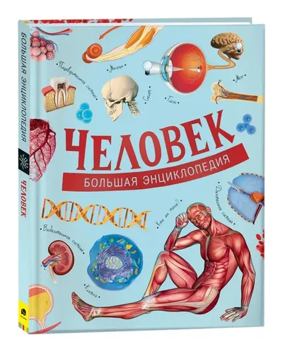 Человек. Большая энциклопедия | Д. Маттарэлли, Э. Пальяри, С. Папи и др.