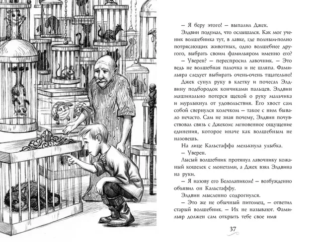 Фамильяры. Книга 1. Трое против ведьмы | Эпштейн Адам Джей, Джейкобсон Эндрю, в Узбекистане