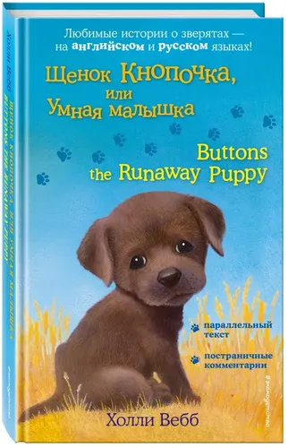 Щенок Кнопочка, или Умная малышка Buttons the Runaway Puppy | Вебб Холли