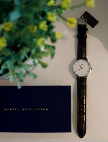 Женские часы Daniel Wellington DW00100095, Темно-коричневый