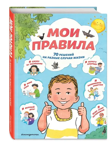 Мои правила. 70 решений на разные случаи жизни | Стимпсон Джо, Ллойд Сью