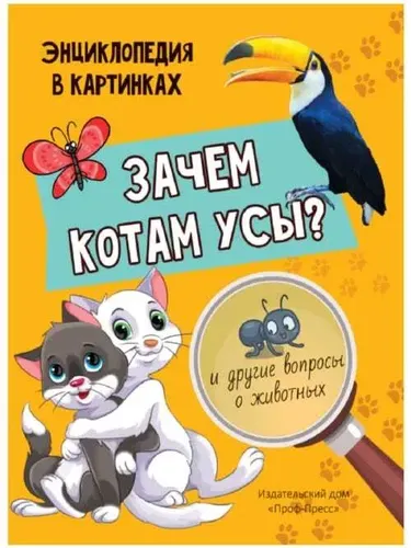 Энциклопедия в картинках для детей "Зачем котам усы" | Соколова Людмила