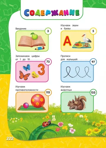 Годовой курс занятий:для детей 3-4 лет (с наклейками) | Далидович Анастасия, Лазарь Елена, в Узбекистане